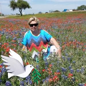 Meet your Posher, Ehrline